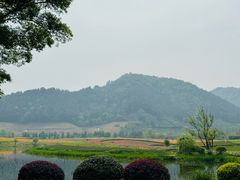 -径山花海