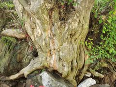-孤山寨风景区