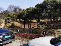 -杭州野生动物世界