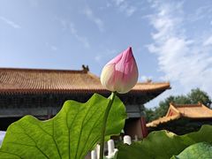 -北京市劳动人民文化宫(太庙)