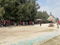 -北海金海湾红树林生态旅游区