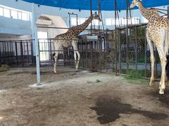 -哈尔滨北方森林动物园