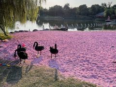 -上海杨姆庄园