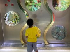 -上海昆虫博物馆