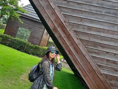 -金山农民画村-枫泾波兰倒置屋