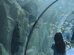 -福州罗源湾海洋世界旅游区