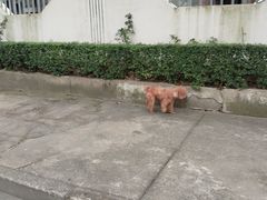 -上海市曹杨职业技术学校