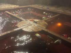 -天目湖涵田半山温泉