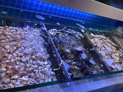-花西亭·海鲜自助餐厅(瑞城名人酒店)