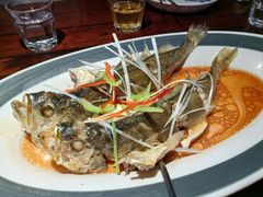 -前海沿·青岛菜(五四广场永旺店)