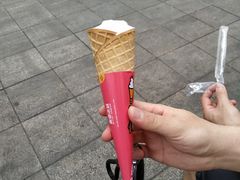 -蜜雪冰城(托乐嘉店)