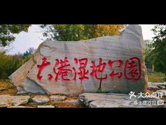 -大港湿地公园