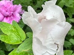 -太阳宫公园