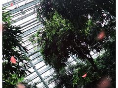 -南山植物园