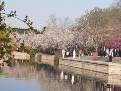 -元大都城垣遗址公园