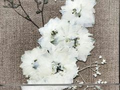 -三生有信(豫园商城店)