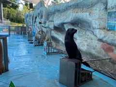 -泉州海丝野生动物世界