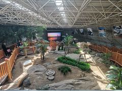 -中国第四纪冰川遗迹陈列馆