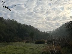 -普洱太阳河森林公园
