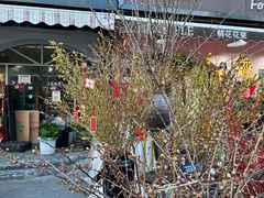 -溪岸路花鸟市场