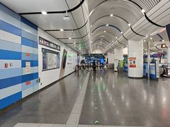 -大望路(地铁站)