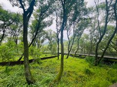 -西湖风景区-江洋畈生态公园