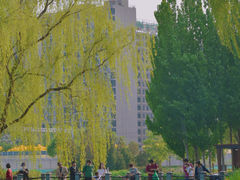 -将府公园