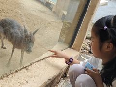 -合肥野生动物园