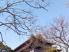 -龙华寺