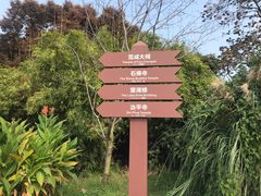 -苏州上方山国家森林公园