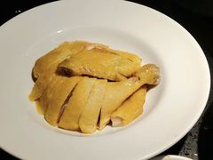 -佬肥猫(七宝宝龙店)