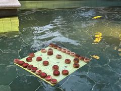 -苏州湾·王焰温泉