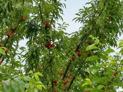 -敬亭山风景名胜区