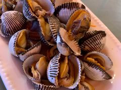 烫熟贝壳-沈家门海鲜夜排档(东港店)