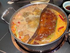 -季季山•云南野生菌火锅(上海首店)