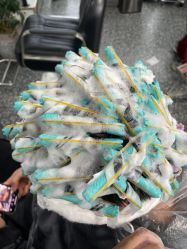 -DL HOPE明星造型