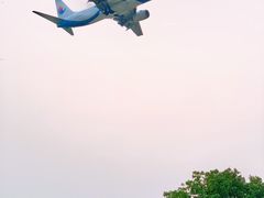 -空港花田景区