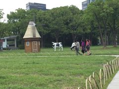 -大宁灵石公园西门票处