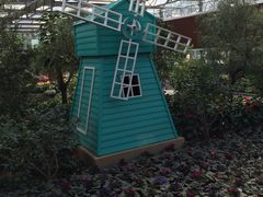 -南宫五洲植物乐园