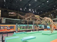 -国家自然博物馆