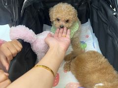 -汇德隆银隆