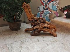 -张掖市博物馆
