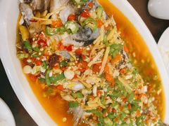 飞虹鱼-飞虹鱼馆(春华路店)