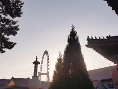 -天津大悲禅院