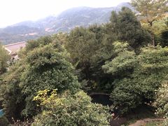 -明谷行馆·温泉