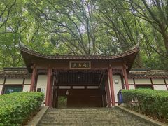 -上海佘山国家森林公园天马山园