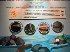 -成都动物园