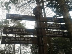 -铁山坪森林公园