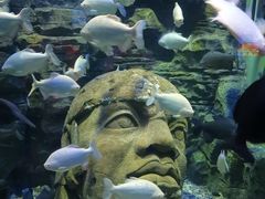 -成都浩海立方海洋公园