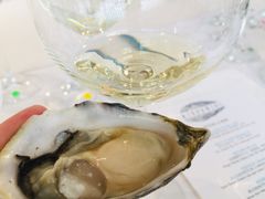-Oyster Talks 四度蚝法餐厅